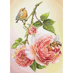 Kryželių siuvinėjimo rinkinys. „Pusryčiai“ 25x35 cm SB7053