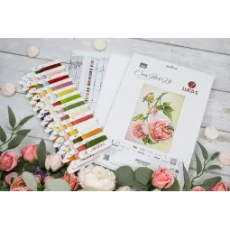 Kit de point de croix. "Breakfast" 25x35 cm SB7053