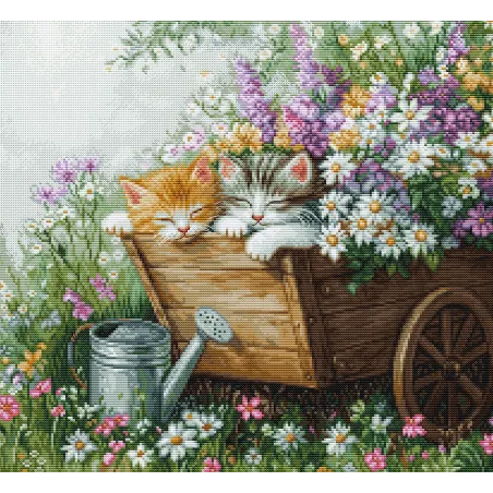 Kit point de croix. "Chaton endormi" 33x30 cm SBU5093