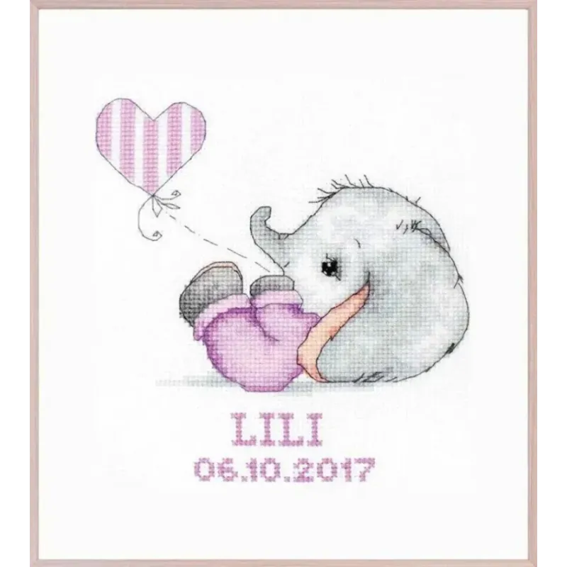 (D) Luca-S Frame Kit SR4