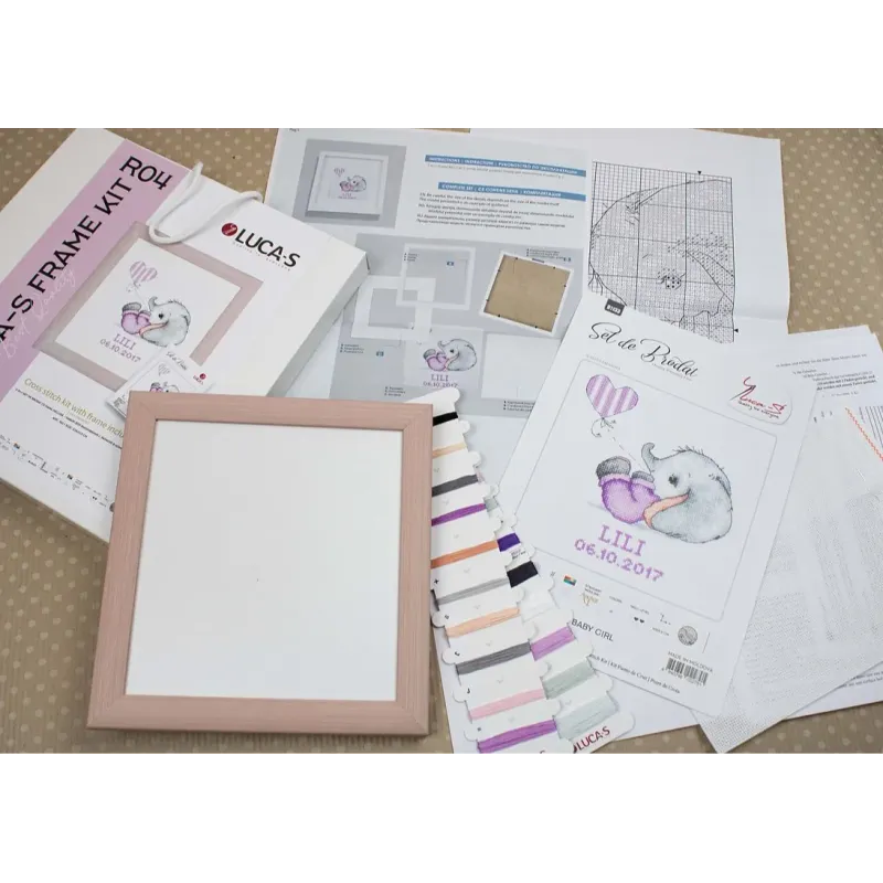 (D) Luca-S Frame Kit SR4