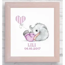 (D) Luca-S Frame Kit SR4