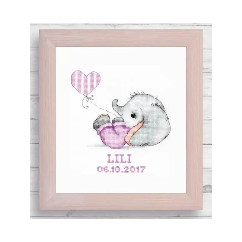 (D) Luca-S Frame Kit SR4