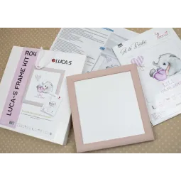 (D) Luca-S Frame Kit SR4