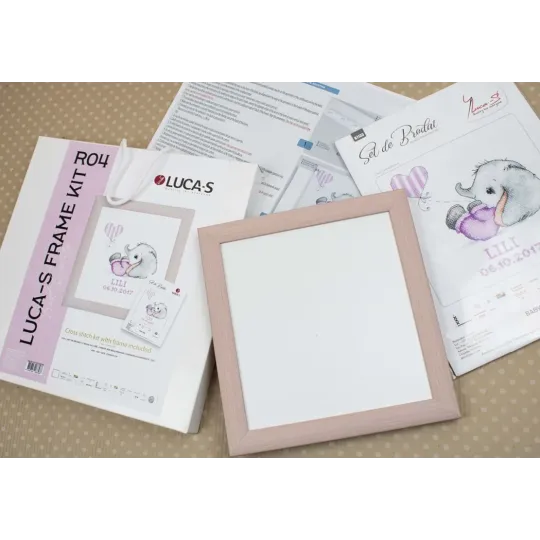 (D) Luca-S Frame Kit SR4