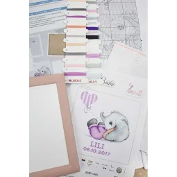 (D) Luca-S Frame Kit SR4