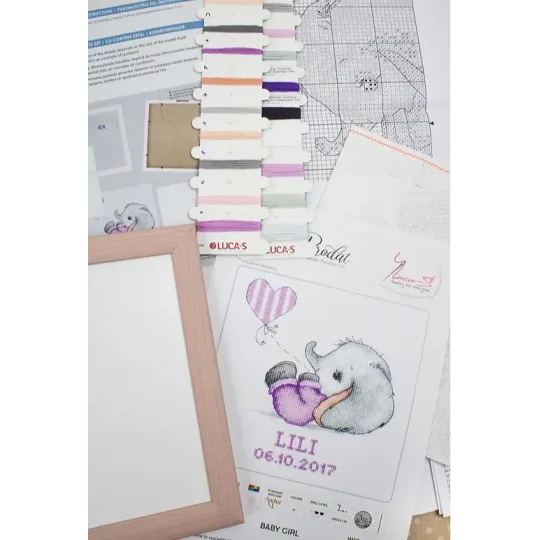 (D) Luca-S Kit de cadre SR4