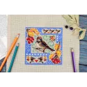 Kit de point de croix "Mini sampler. Composition d'automne" 13x13 cm SNV-973