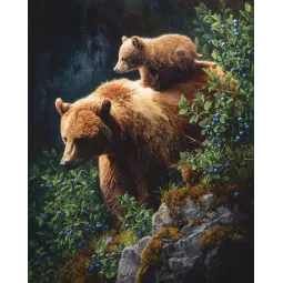 Peinture diamantée avec sous-cadre "Ours" 40x50 cm DP442