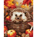 Diamond Painting with subframe Hedgehog in mushrooms 30x40 cm VA813