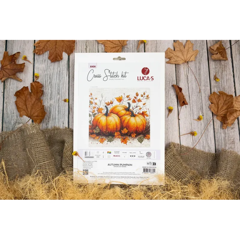 Kreuzstich-Set. "Herbstkürbis" 19x18 cm SB1434