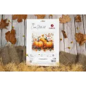 Kreuzstich-Set. "Herbstkürbis" 19x18 cm SB1434