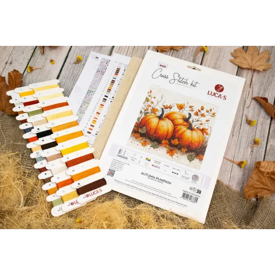Kreuzstich-Set. "Herbstkürbis" 19x18 cm SB1434