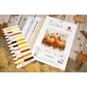 Kreuzstich-Set. "Herbstkürbis" 19x18 cm SB1434