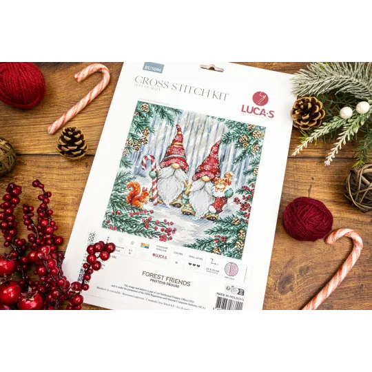 Kreuzstich-Set. "Waldfreunde" 25 x 25 cm SBU5096