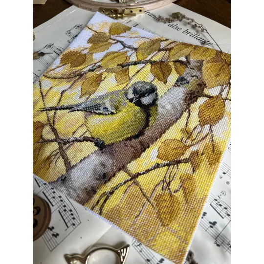 Kryželiu siuvinėjimo rinkinys „Zylė“ 19,5 х 19,5 cm SANS-76