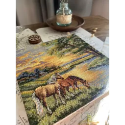 Kryželių siuvinėjimo rinkinys "Gimtosios žemės" 19 х 19 cm SANR-58