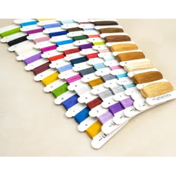 Cross stitch kit "Dragon Studies" 38x29 cm SLETIL9965