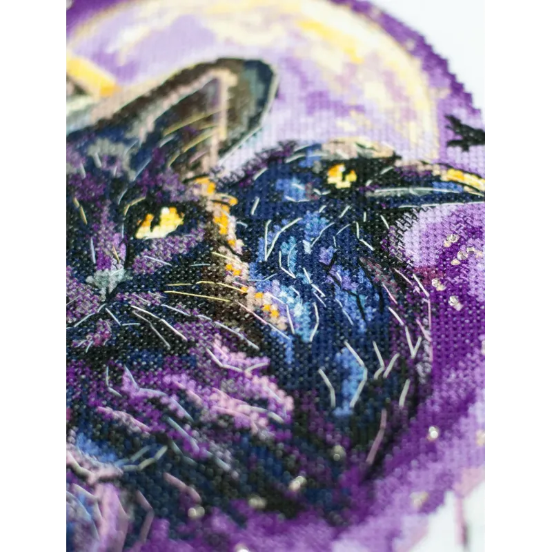 Kryželiu siuvinėjimo rinkiniai "Magijos šešėliai" 20x20 cm AAH-306