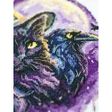 Cross-stitch kits "Magic shadows" 20x20 cm AAH-306