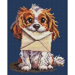 Zählkreuzstich-Set "Überraschung für dich" CDABC8123