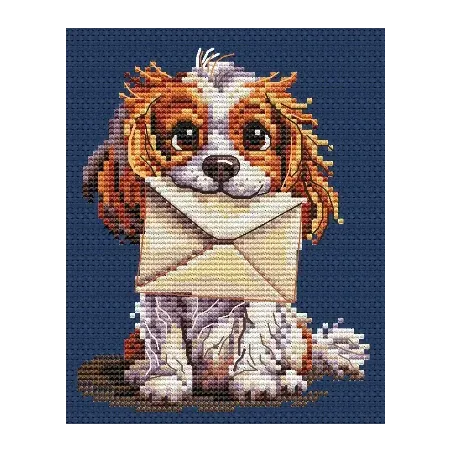 Zählkreuzstich-Set "Überraschung für dich" CDABC8123