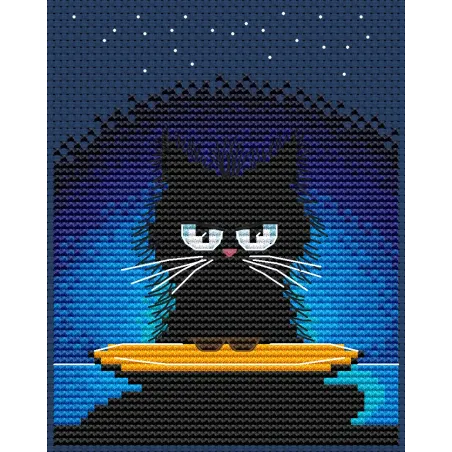 Counted cross stitch kit "Why Am I Black?" CDABC8117