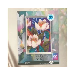 Cross-stitch kits "Revelation of Color" 9x13,5 RTOC445