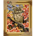 Kit de tapisserie avec toile imprimée 22x30 Hibou CDA6327K