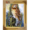 Tapestry Kit with printed canvas 22x30 Owl CDA6252K