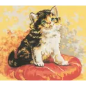 Printed Canvas 18x22 Kitten on a Cushion CDAA37