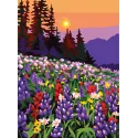 Printed Canvas 22x30 Fragrant field CDA6339