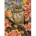 Toile imprimée 22x30 Hibou CDA6327
