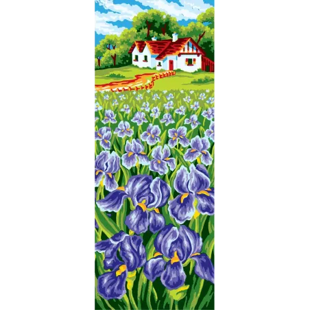 Printed Canvas 21x49 Iris Field CDA8047