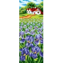 Spausdintas drobės 21x49 Iris Field CDA8047