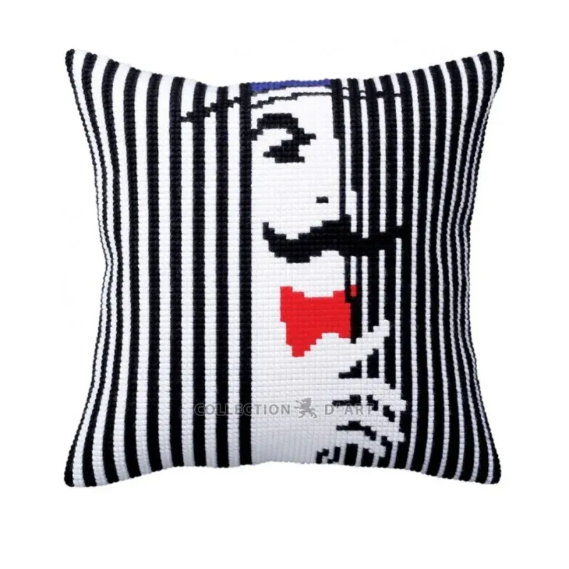 Kit coussin Je vous espionne 40 X 40 cm CDA5357