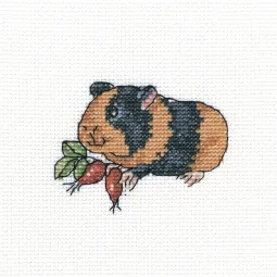 Kryželiu siuvinėjimo rinkinys "Protingas paukščiukas" 10x10 cm RTOH259