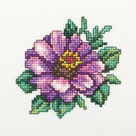 Kryželių siuvinėjimo rinkinys "Zinnia" RTOH248