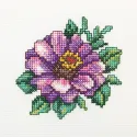 Kit point de croix "Zinnia" RTOH248