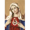 Printed Canvas 20x30 Virgin Mary CDA6133