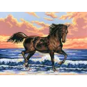 Printed Canvas 22x30 Black Stallion CDA6031