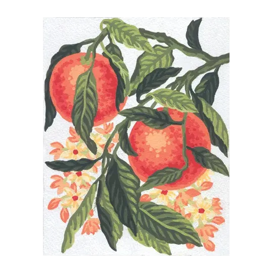 Printed Canvas 14x18 Oranges CDA3163