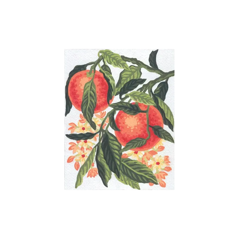 Spausdintas drobės 14x18 apelsinai CDA3163