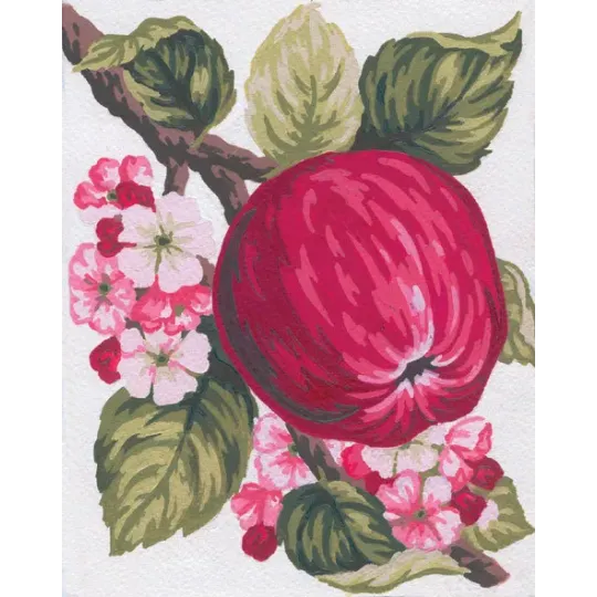 Printed Canvas 14x18 Apple CDA3159