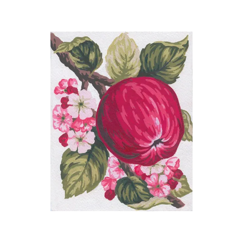 Printed Canvas 14x18 Apple CDA3159