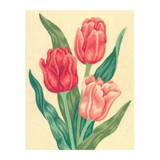 Printed Canvas 14x18 Tulips CDA3105