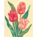 Printed Canvas 14x18 Tulips CDA3105