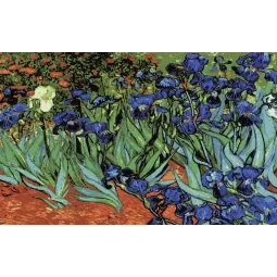 Printed Canvas 50x80 Irises, (Van Gogh) CDA14282