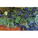 Toile imprimée 50x80 Iris, (Van Gogh) CDA14282