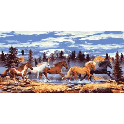 Toile Imprimée 50x100 Chevaux Sauvages CDA13982